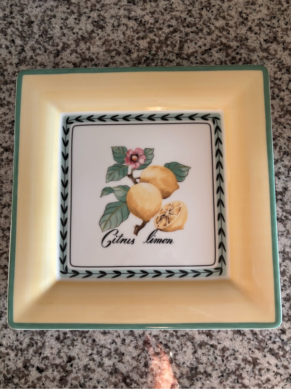 Villeroy & Boch (Macon) Citrus Limon Square Serving Plate - Yellow & Green